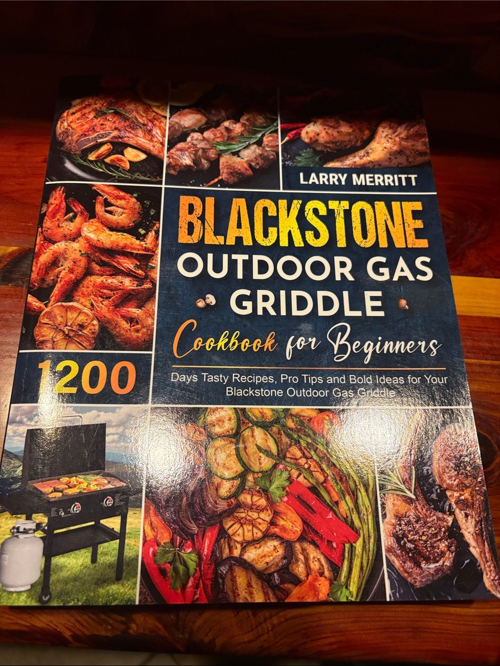 Blackstone Blue & Yellow Outdoor Gas Griddle Cookbook for Beginners